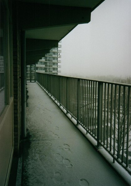 2001 02 sneeuw gallerij